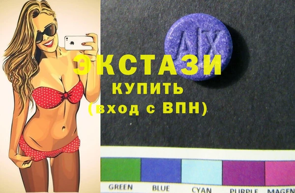 прущие грибы Гусиноозёрск