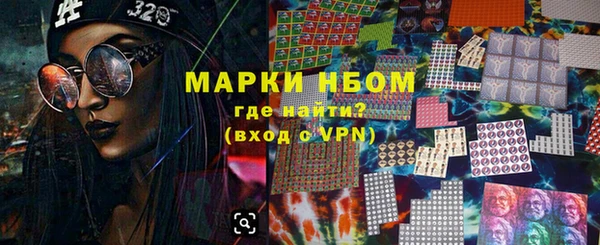 прущие грибы Гусиноозёрск