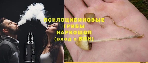 эйфоретик Горнозаводск