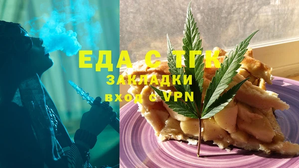 прущие грибы Гусиноозёрск