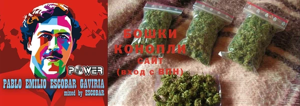 прущие грибы Гусиноозёрск