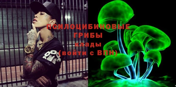 прущие грибы Гусиноозёрск